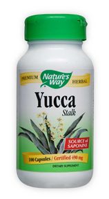 Yucca